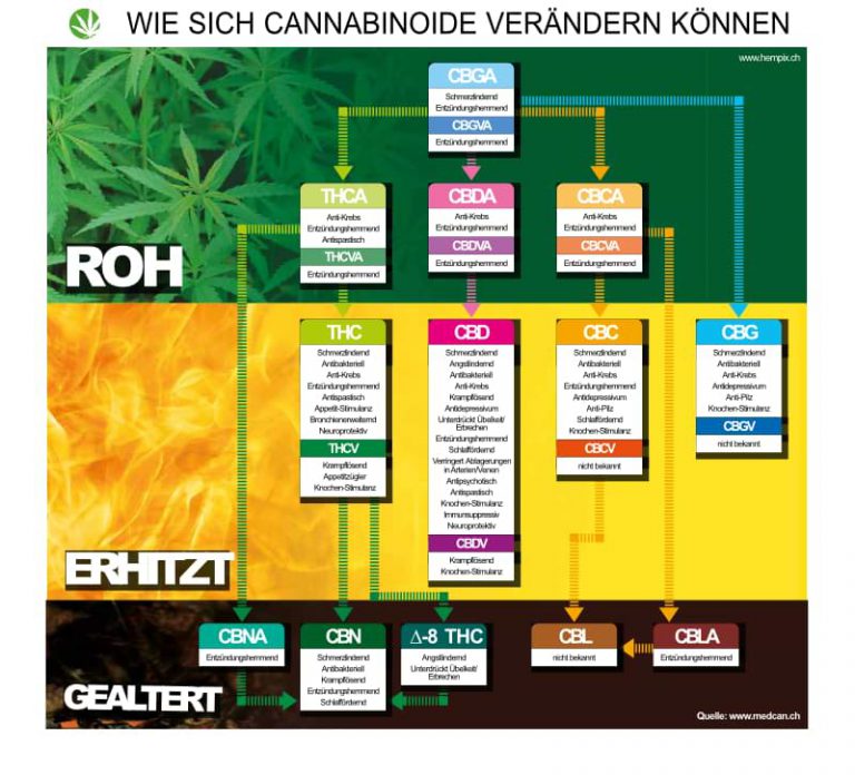 Hempix Grafik Cannabinoid